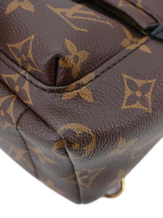 Louis Vuitton  Palm Spring Mini Monogram Canvas Backpack Brown main image 10